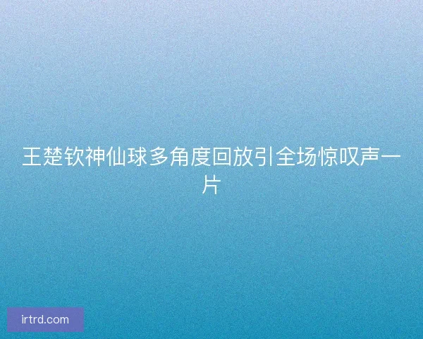 王楚钦神仙球多角度回放引全场惊叹声一片